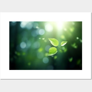 Leaf Air Nature Serene Tranquil Peaceful Posters and Art